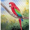 O nome das coisas: Passeio no Zoológico